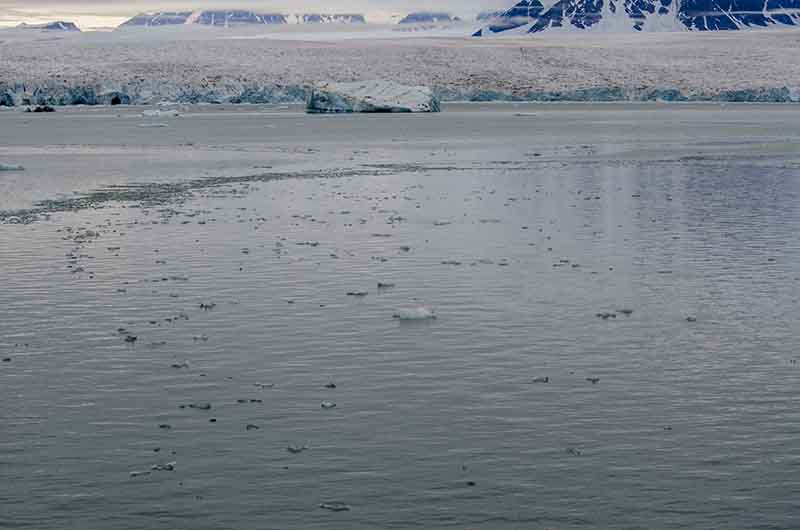 136 - Noruega - islas Svalbard - isla de Spitsbergen - fiordo Liefdefjord - glaciar Monacobreen
